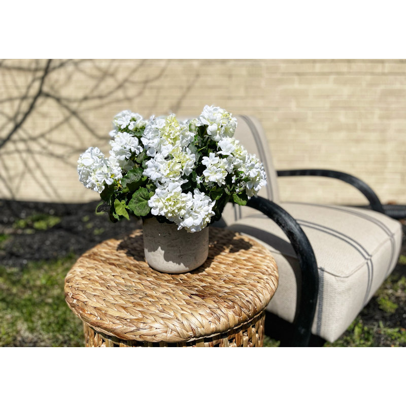 UV Protected Geranium Arrangement, 17" H x 18" W x 18" D, Gray