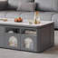 Table basse légère et luxueuse-104505562-104505559