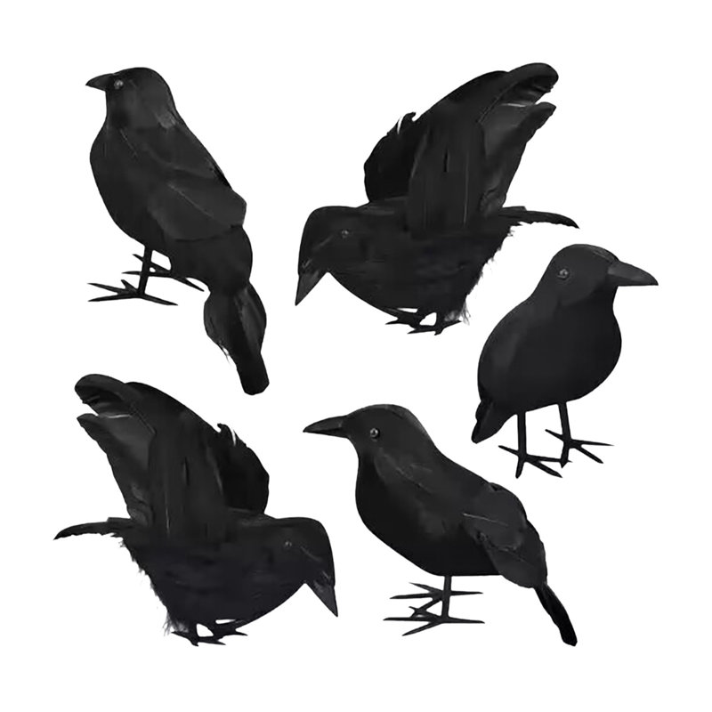 Ensemble de cinq pièces d'Halloween