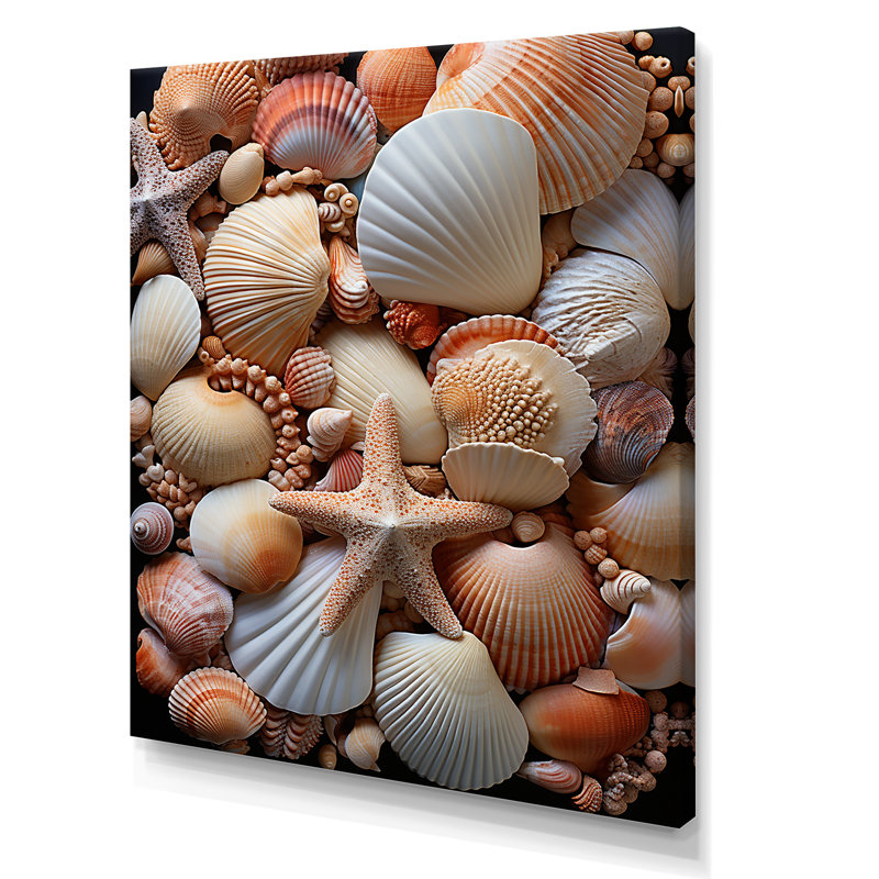 «Classic Seashells By The Sea», reproduction sur toile, Toile tendue, 44" H x 34" W