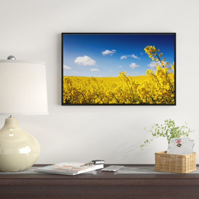 " Yellow Canola Field "