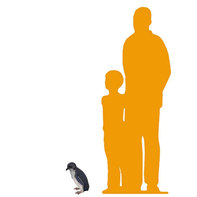 Fairy Penguin Statue