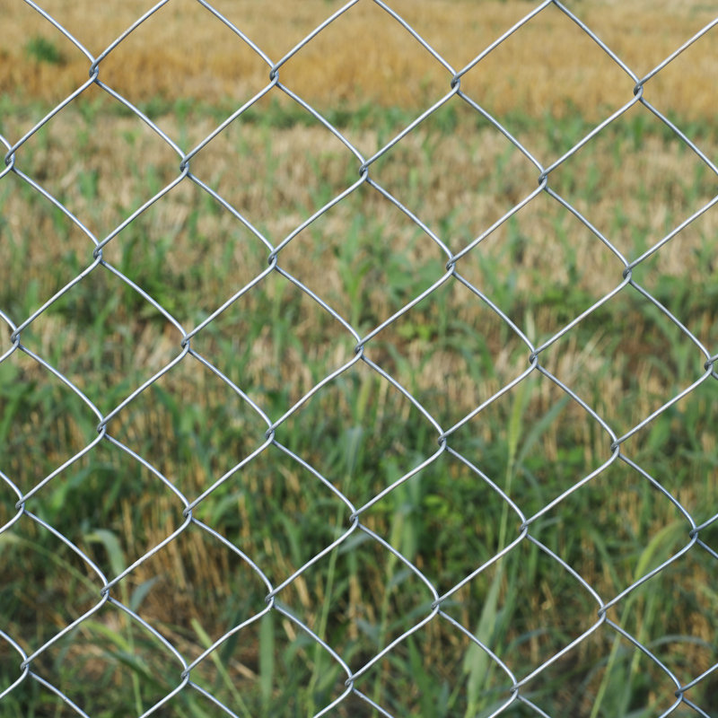Galvanized Steel Diamond Mesh Chain Link Fence Kit, 4 x 50 ft, Silver