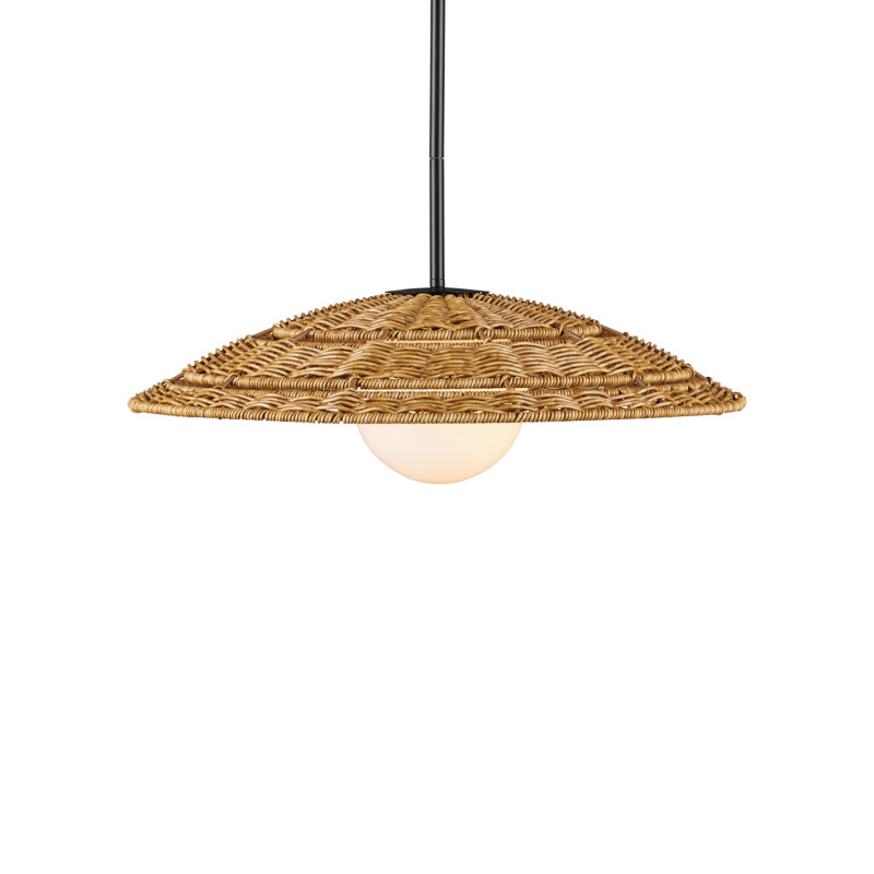Barbary 1 - Light Pendant, 6.5" H x 20" W x 20" D