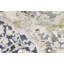 Hand-Knotted High-Quality Green Area Rug