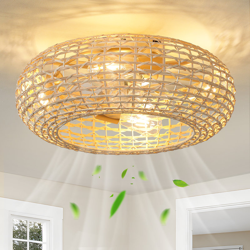 Ventilateur de plafond en cage 20 po avec abat-jour en rotin Boho