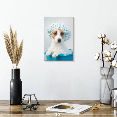 Ketti terrier au bain bleu