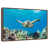 Floating Frame Walnut selected