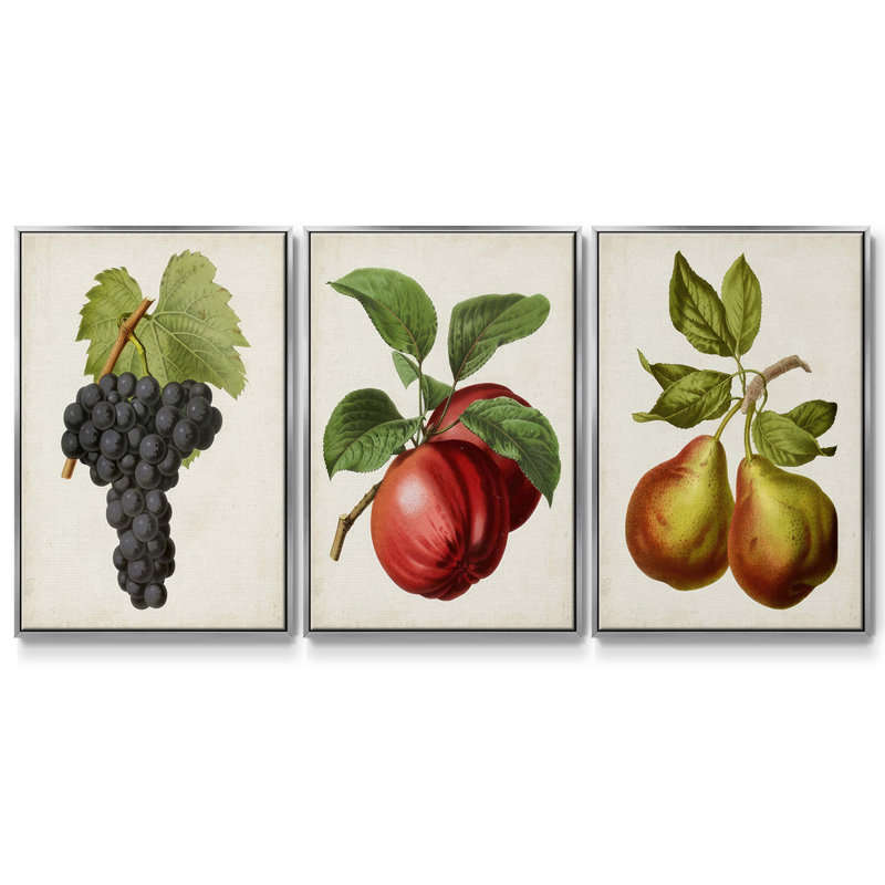 Antique Fruit VFramed, ensemble de 3 toiles tendues, Argent, H 27 po x l 54 po