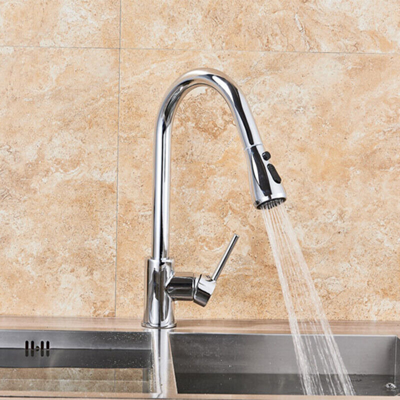 Belfry Kitchen Bauerle Pull Out Kitchen Faucet