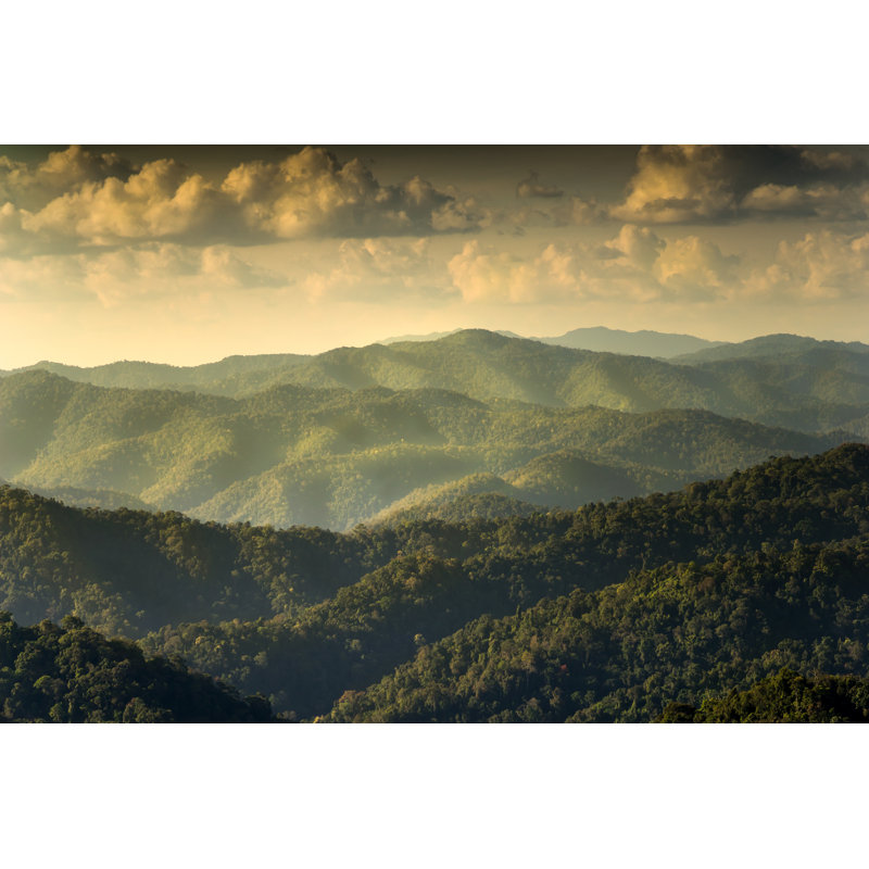 Eubank Rainforest Mountain Landscape - Wrapped Canvas Print, 30cm H x 46cm W x 3.8cm D