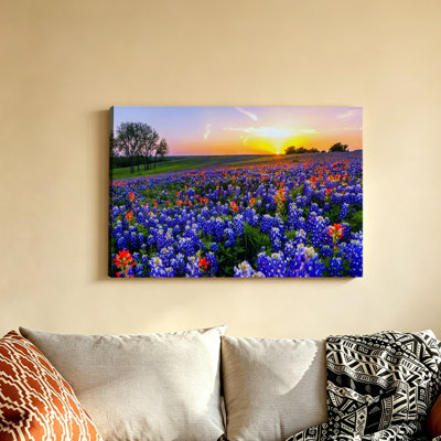 Texas bluebonnet sunset field poster