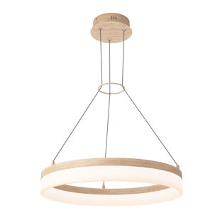 Luminaire suspendu à 1 lumière DEL