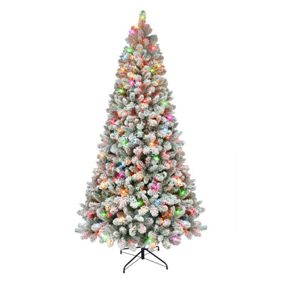 78' Lighted Pine Christmas Tree