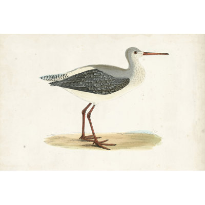 Morris Sandpipers I by Morris - Painting on Canvas