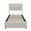EU & UK Sizes Velvet Ottoman Bed With LED Storage Headboard, Upholstered Bed Frame With Charging Port, Beige-588488660