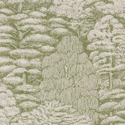 Woodland Walk Wallpaper Roll