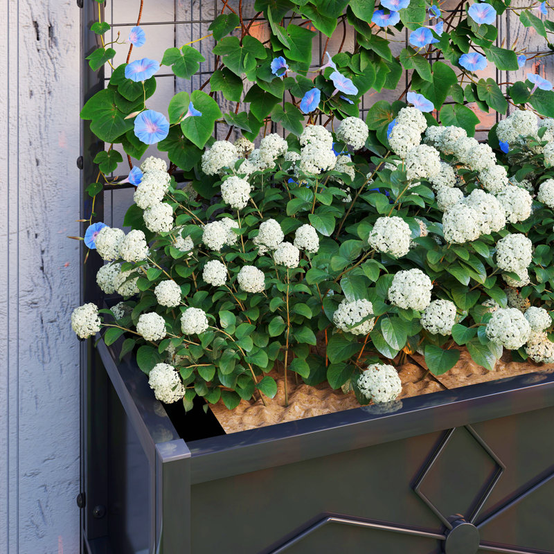 Vertical Garden