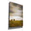 «Eliya Across The Wheat Field On Canvas» par Don Schwartz, reproduction-88591206