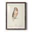 Tawny Owl Premium encadré mat - prêt à accrocher-458113788-458113784