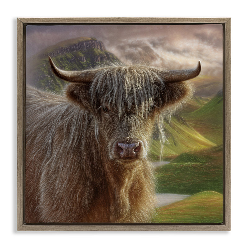 Cadre flottant Butterscotch Highland Cow, conception par Collin Bogle, H 18 po x l 18 po, Cadre flottant orme Montalcino