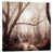 Toile tendue
