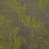 Wasabi selected