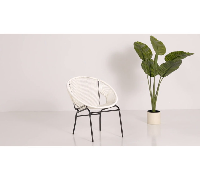 Green Metal and Rattan Modern Outdoor Patio Chairs (Set of 2)