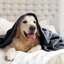 Plush Mink Fleece Blanket – Ultra-Soft, Lightweight Throw For All Seasons-113714322-113714325