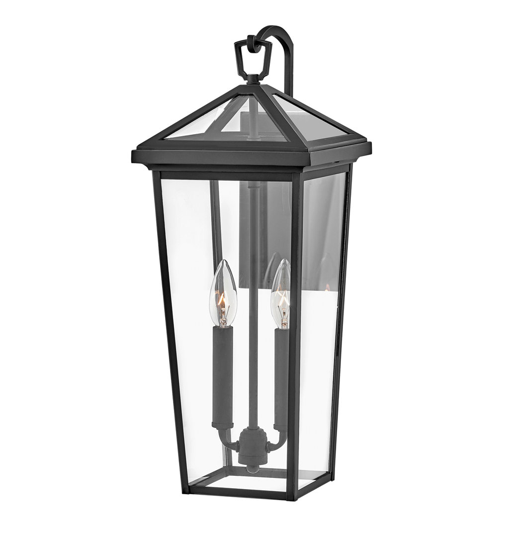 Alford Place 2-Light Outdoor Tall Wall Mount Lantern Hinkley Fixture 