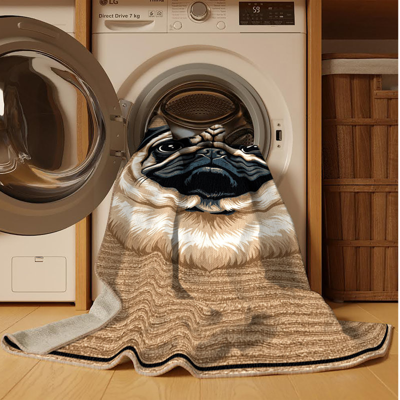 Washable Pug Dogs Area Rug, Runner 2' x 4'