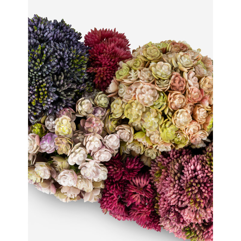 Arden Oblong Sedum Arrangement