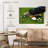 Golf Gear Set-1922482168
