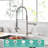 Fapully Pull Down Kitchen Faucet