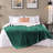 Microplush Soft Fleece Blanket - Fuzzy, Warm, Bed Reversible Blanket-169392473-169392472