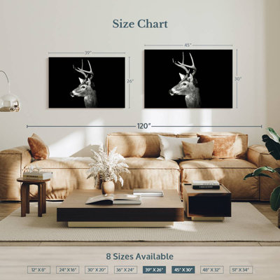 Brampt White Tailed Buck