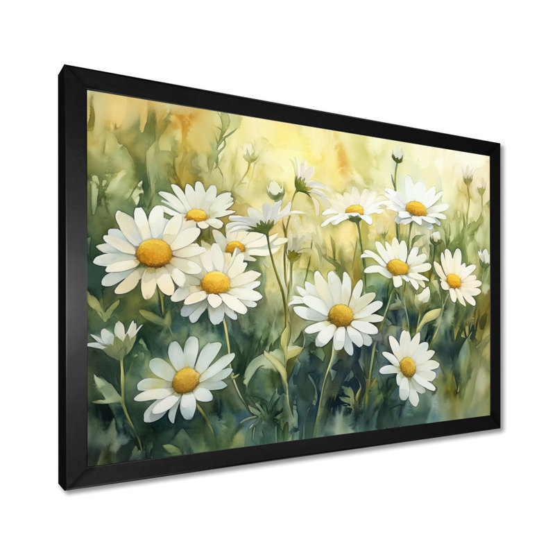 Marguerite d'été blanche et jaune II - Tableau encadré de marguerites, H 12 po x l 20 po, Black Picture Framed