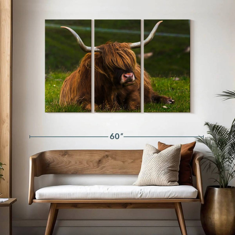 Brampt Highland Cow sur herbe, H 32 po x l 50 po