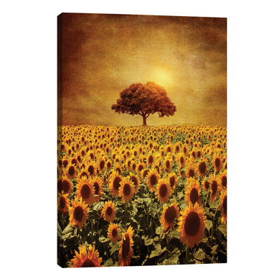 Lone Tree & Sunflowers Field by Viviana Gonzalez - Wrapped Canvas Painting