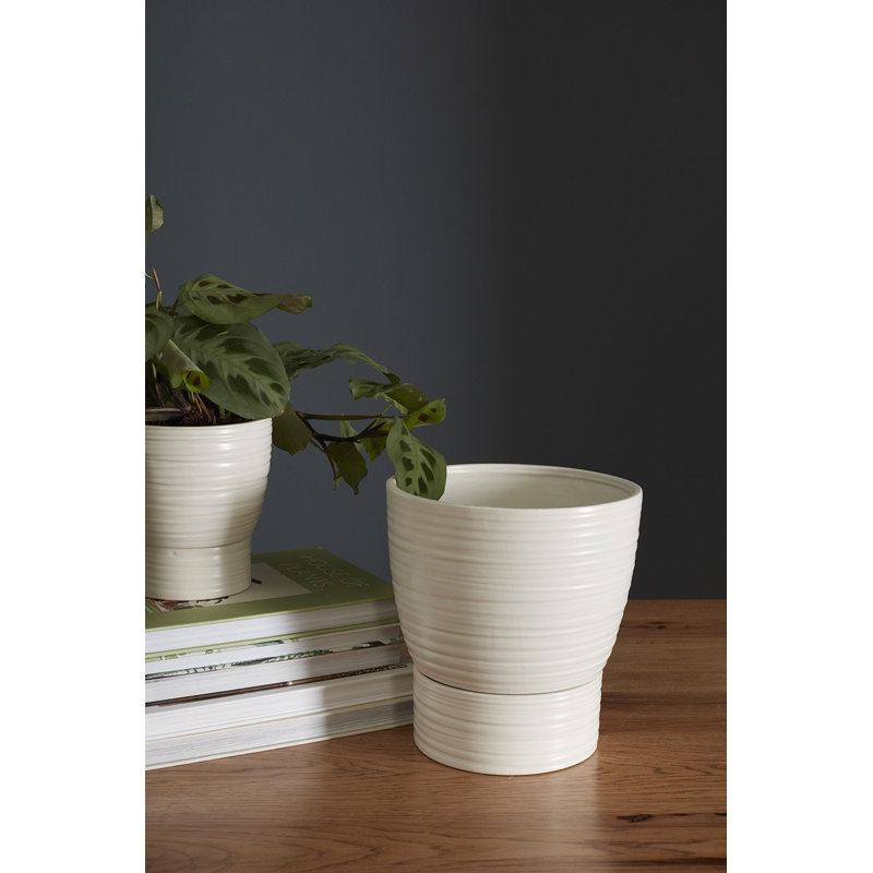 Canella Ceramic Pot Planter, 9.25" H x 8.5" W x 8.5" D