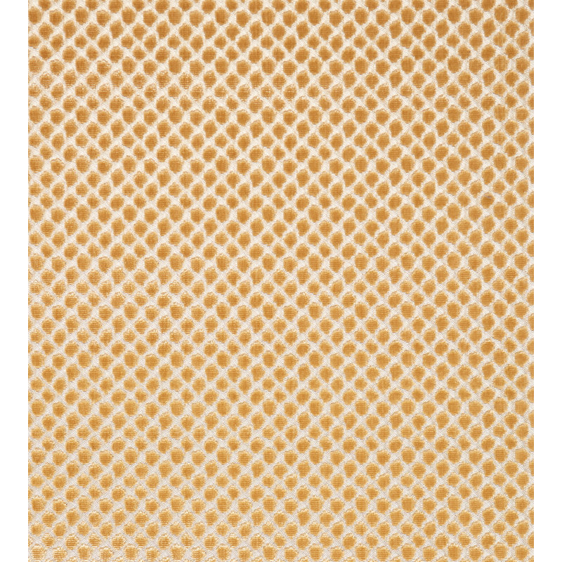 Tissu moderne en velours Etosha, Palomino