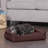 Orthopedic Polyester Pet Bed-13971957-13971953