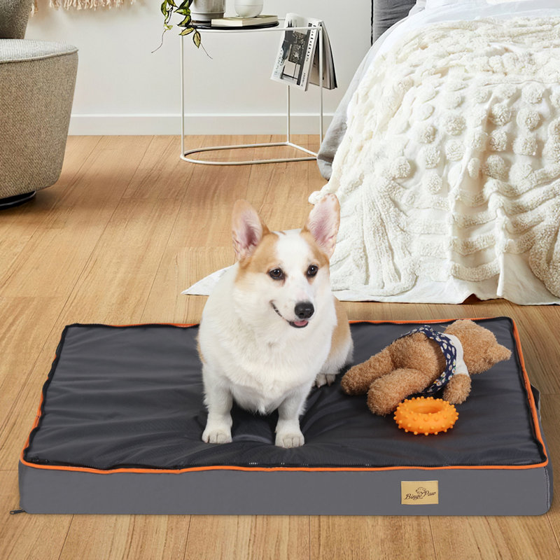 Orthopedic Dog Bed, 8cm H X 70cm W X 95cm D