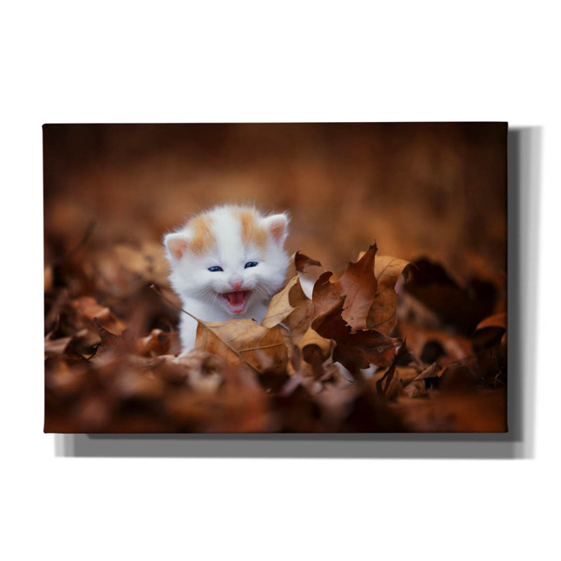Sur toile, H 12 po x l 18 po x P 0,75 po