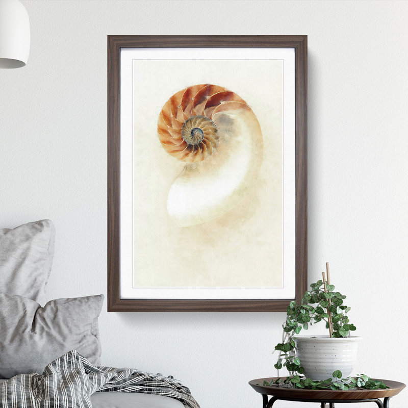 Mother of Pearl Shell - Framed Print, Walnut Framed, 36cm H x 27cm W x 2cm D