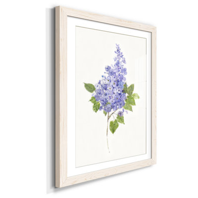 Lilas botanique délicat - impression