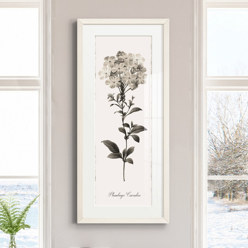 Impression de cadre photo sur papier, Blanc