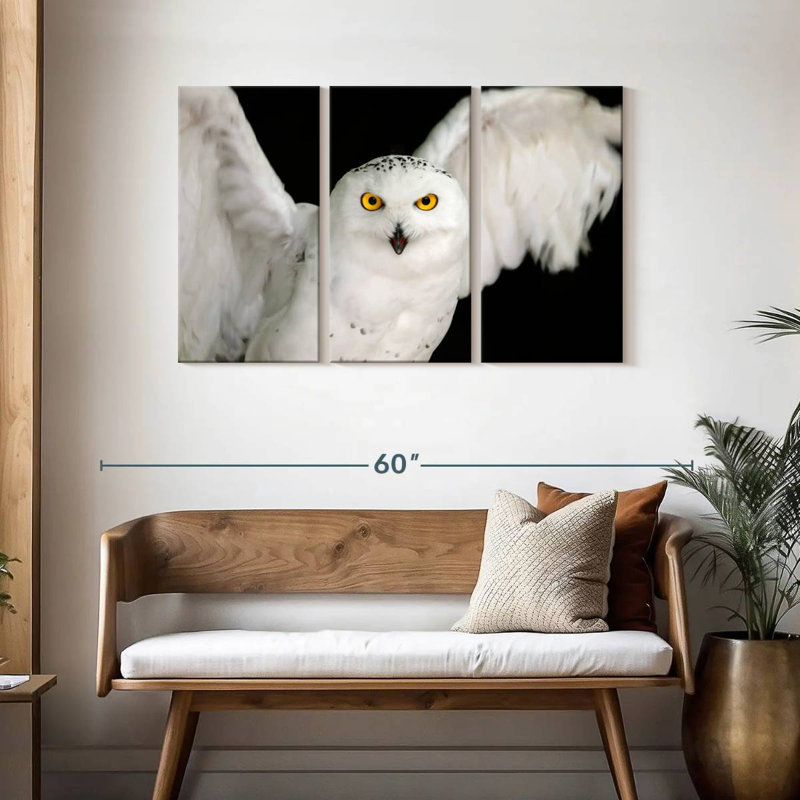 White Owl, null