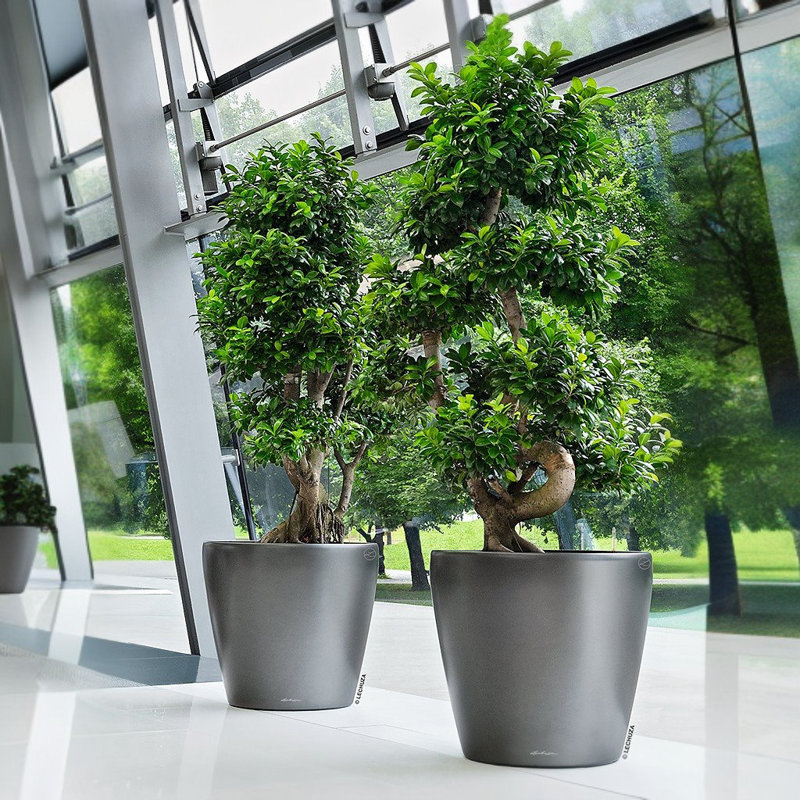 Classico Pot Planter, Charcoal Metallic