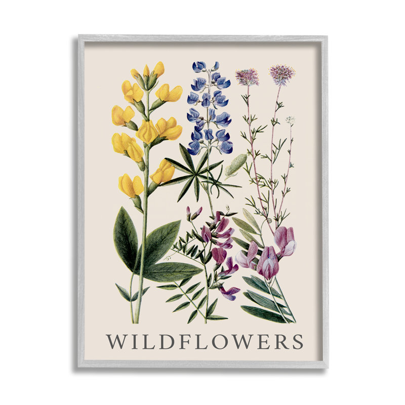 Bb-334 - Étude sur les espèces de fleurs sauvages encadrée sur bois par Piddix, Estampe numérique Farmhouse